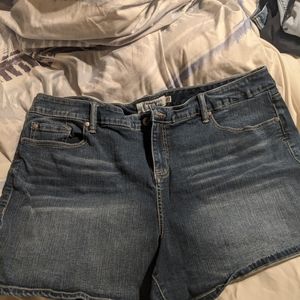 Torrid blue jean shorts brand new
